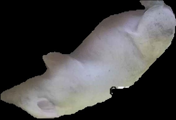 Crop