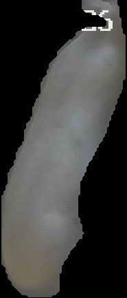 Crop