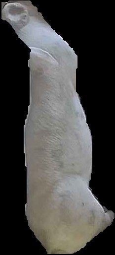 Crop