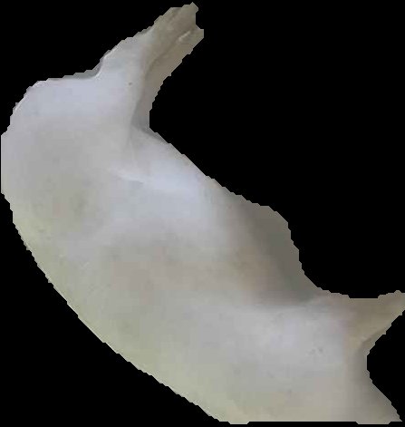 Crop
