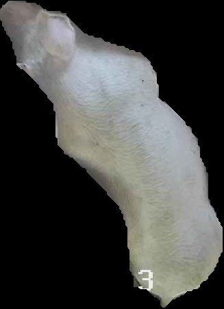 Crop