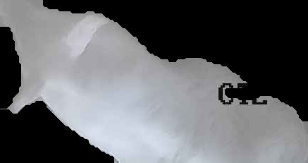 Crop