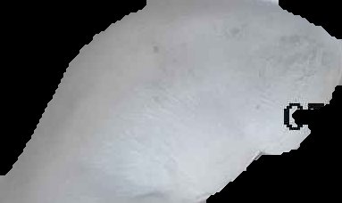 Crop