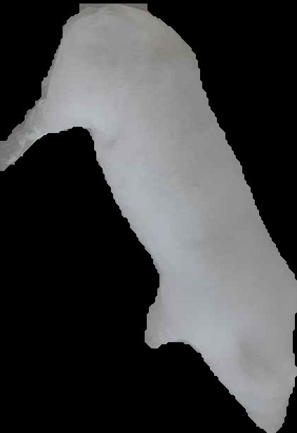 Crop