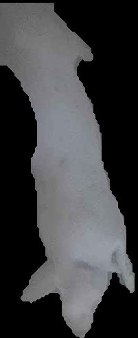 Crop