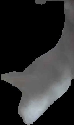 Crop