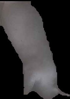Crop