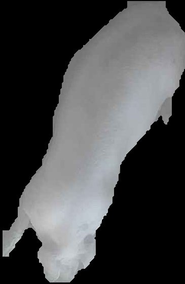 Crop