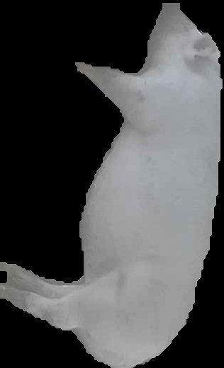 Crop