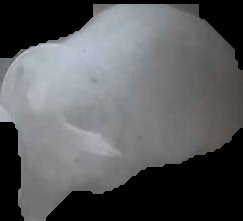 Crop