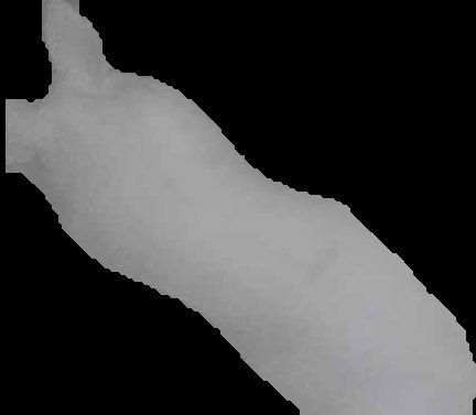 Crop
