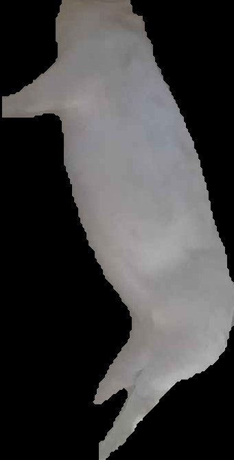 Crop