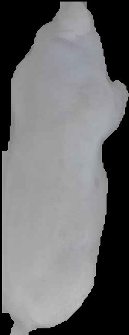 Crop
