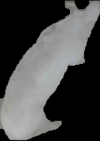 Crop