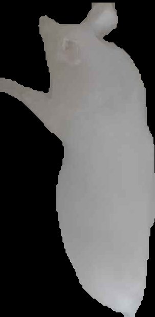 Crop