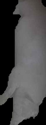 Crop