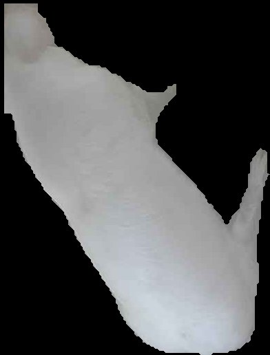 Crop