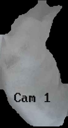 Crop