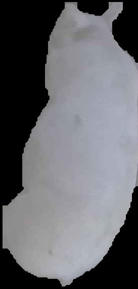 Crop