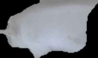 Crop