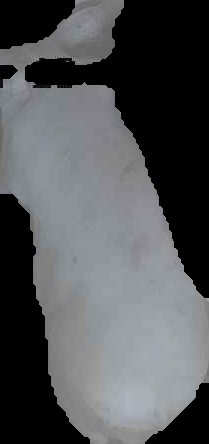 Crop