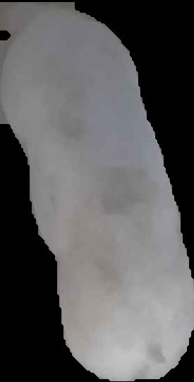 Crop