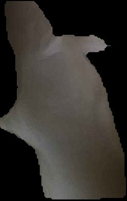 Crop