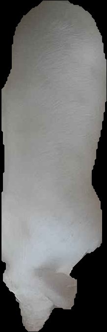 Crop