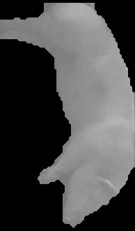 Crop