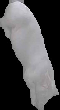 Crop