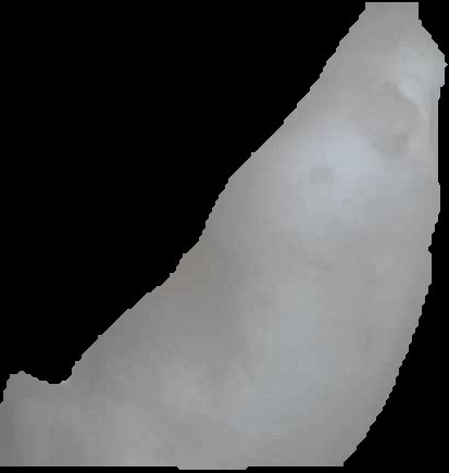 Crop