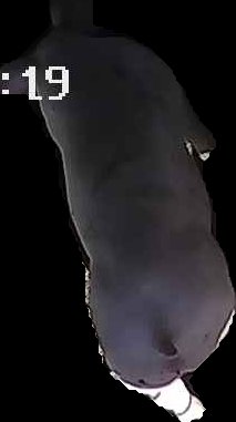 Crop