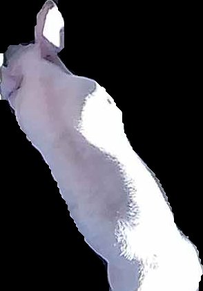 Crop
