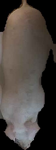 Crop