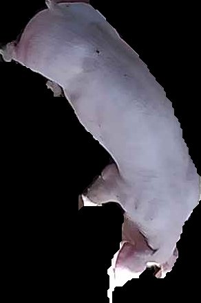 Crop