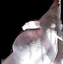 Crop
