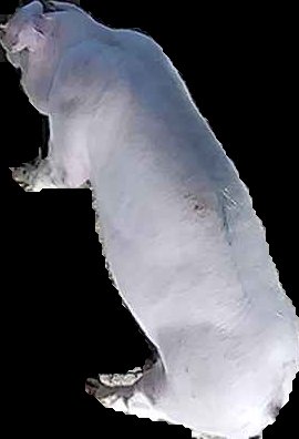 Crop
