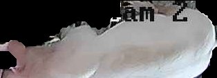 Crop