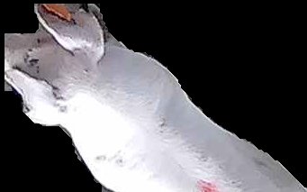 Crop