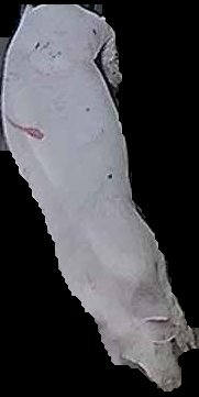 Crop