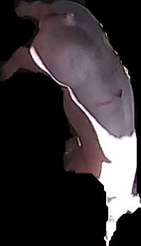 Crop