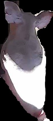Crop