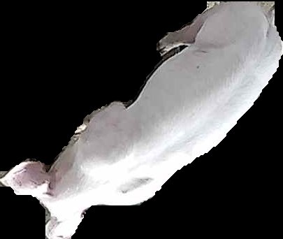 Crop
