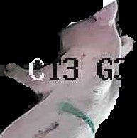 Crop