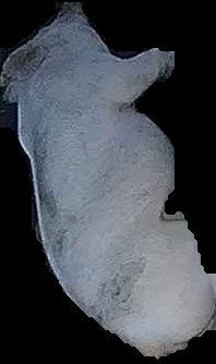 Crop