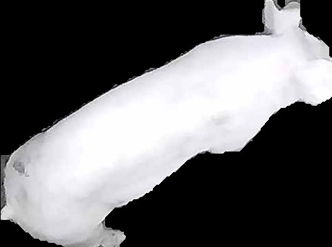 Crop