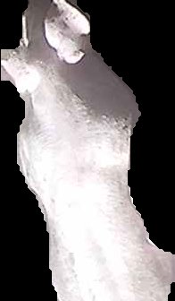 Crop