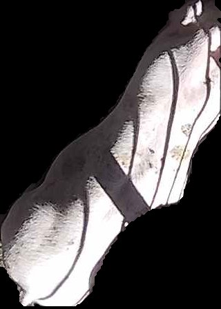 Crop