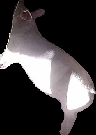 Crop