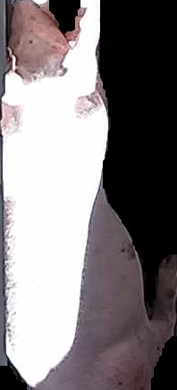 Crop